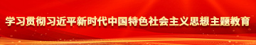 东北胖老太学习贯彻习近平新时代中国特色社会主义思想主题教育