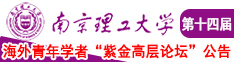 插嫩逼的视频南京理工大学第十四届海外青年学者紫金论坛诚邀海内外英才！